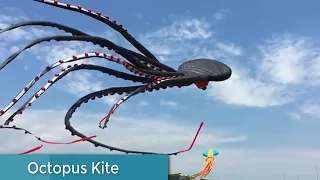 Cool kites You've never seen before with footage - UTTRAYAN Special... by ITOPINGS