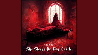 She Sleeps In My Castle (feat. FLX)