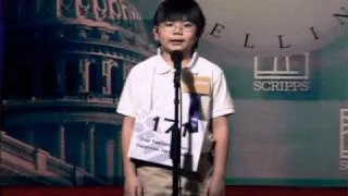 Special Boy With Freakishly Large Brain Wins Spelling Bee