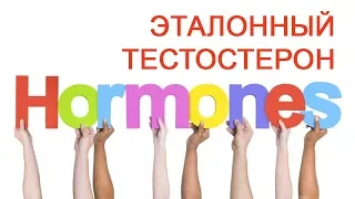 Эталонный тестостерон / Доктор Черепанов