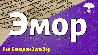 Недельная глава Эмор. Рав Бенцион Зильбер