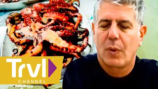 Squid Hunting on the Lisbon Coast | Anthony Bourdain: No Reservations | Travel Channel