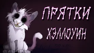 Коты Воители Halloween: Прятки [Harmony Team]