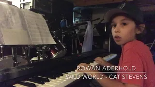 Wild World - Cat Stevens cover - Rowan Aderhold