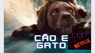 Cão e gato filme de comédia do Netflix #boatarde