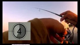 Ловля на Reins AX Craw Mini 2".avi