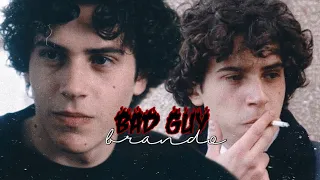 brando (baby) | bad guy