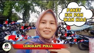 PAKET LENGKAP KOI DAN IKAN HIAS || PASAR IKAN PURWONEGORO