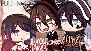 🐺💜 A Human In An All Alpha School | GLMM | Gacha Life Mini Movie | FULL MOVIE | Gacha Life |  💜🐺