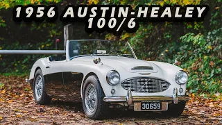1956 Austin-Healey 100/6 : British Steel & Racing Spirit