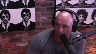 Joe Rogan: "In a REAL fight Conor would fuck Floyd up."