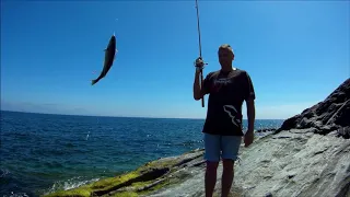 морская рыбалка с берега 2018