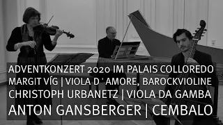 Adventkonzert 2020 im Palais Colloredo, Margit Víg | Christoph Urbanetz | Anton Gansberger