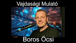 Vajdasági Mulató - Boros Öcsi dalai