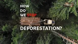 CLIMATE CHANGE: How do we fix deforestation (Solutionaries)