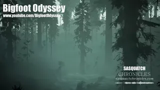 SC Shorts: Bigfoot Odyssey