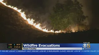 GLASS FIRE: Firefighters Battle Flames Near Calistoga And Angwin