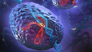 CRISPR Technology | Genetic Engineering | Full Biotechnology Documentary