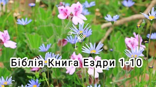 Біблія українською мовою ❤️Книга Ездри 1-10 🌷#біблія #бібліяОнлайн