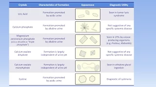 Interpretation of the Urinalysis (Part 3) - Microscopy and Summary