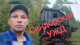 Синдорская УЖД