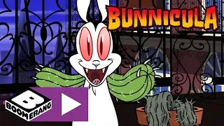 Bunnicula | Bunnicula's Tail Falls Off | Boomerang UK 🇬🇧