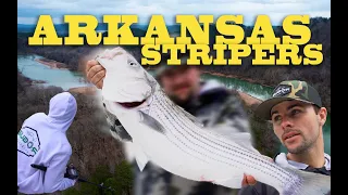Catching BIG Stripers in Arkansas!