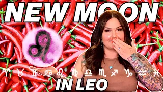 A Spicy New Moon in Leo 2023 | All 12 Signs