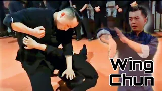 Wing Chun Techniques  Martial Arts Instructions