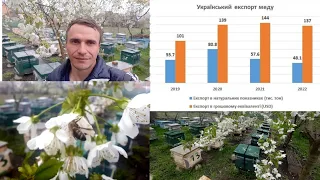Українські експортери меду зробили самі себе?