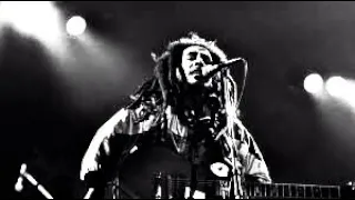 Bob Marley (Live At Zurich Hallenstadion 1980)