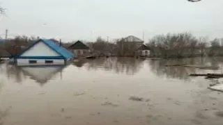 Село Новоишимское подтопило в СКО. LIVE