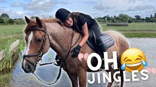 Jingles tries XC HORSE TRAINING... in a BRAND NEW PLACE!