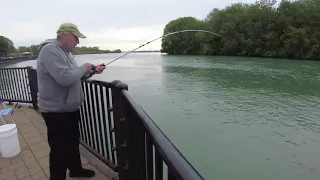 Detroit River Fishing in Ecorse