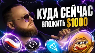 ЖДУ 10 ИКСОВ от TON, STARKNET и PONKE! Мои инвестиции на просадке! Криптовалюта как заработать?