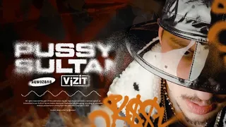 SQWOZ BAB, VIZIT — PUSSY SULTAN 10 ЧАСОВ