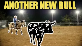 NEW BULL, WHO DIS!? Rodeo Time 269