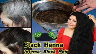 Black Henna For Intense Black Hair:Get Black Hair Without Dye & Reverse Hair Greying ।Garima Singh