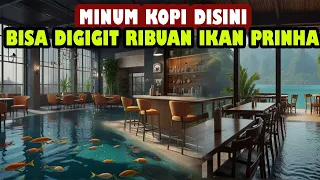 FAKTA MENGEJUTKAN!! Minum Kopi Disini Kalian Akan Di Gigit Ribuan Ikan Piranha