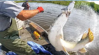 Catching MONSTER Fish on Jug Lines