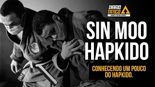 SIN MOO HAPKIDO: ARTE MARCIAL COREANA E DEFESA PESSOAL.