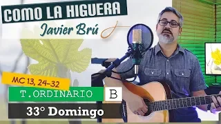 Como la Higuera (La Parusía) - Javier Brú | 33° Domingo del T. Ordinario B (Mc 13, 24-32)