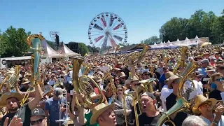 Auf der Vogelwiese - Woodstock der Blasmusik 2022 Gesamtspiel