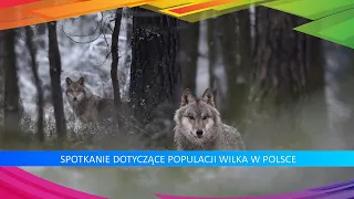 Populacja Wilka w Polsce