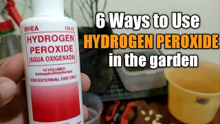 6 Paraan ng pagamit ng HYDROGEN PEROXIDE sa Garden.