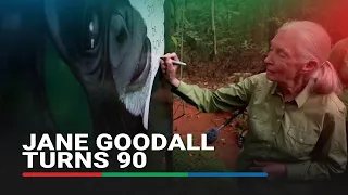 Jane Goodall celebrates 90th birthday with talks; sparking hope, igniting change | ABS-CBN News