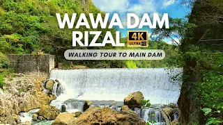 Wawa Dam Rizal Full Walking Tour 4k