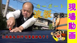 意外と簡単？カーポートの屋根！大工さんがポリカ波板交換！【リフォーム現場動画】