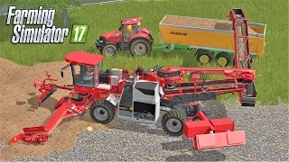 Multiplayer Farming Simulator 17 | SUGARBEET MAYHEM! | Giants Island EP7