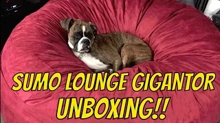 Sumo Lounge Gigantor Bean Bag Chair Unboxing and Review